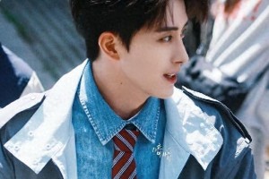 多图展示：精选图片集锦