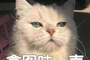 蔡徐坤被曝与C女子怀孕事件，母亲录音曝光