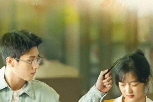 《烟火人家》大结局：陶大磊的意难平婚姻